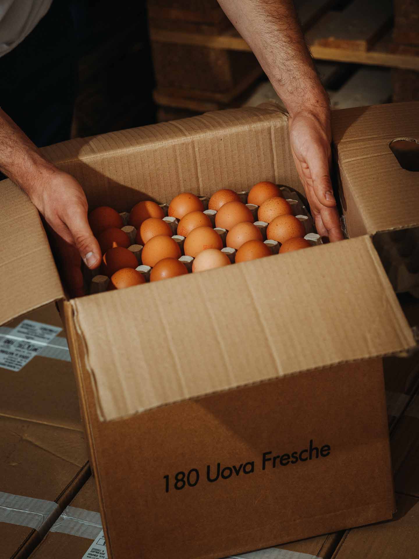 Uova